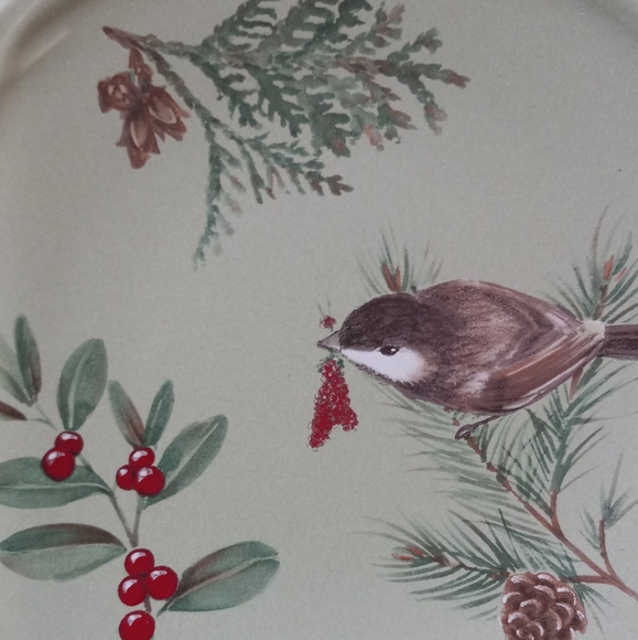 PORTFOLIO PFALTZGRAFF"Winterwood"4 salad/dessert plates and 1 cake/dinner plate - Picture 3 of 4